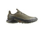 Salomon Herren Alphacross 5 GTX grün 46.0