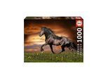 Educa 1000 Trotting Horse