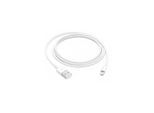 Apple Lightning to USB Cable - 1m