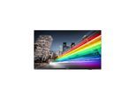 Philips 43BFL2214 B-Line Professional Series - 43" LED-backlit LCD TV - 4K - for digital signage
