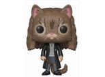Funko POP Harry Potter Hermine als Katze