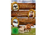 Im Galopp - Die schönsten Pferdefilme (3 DVDs)