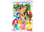 Reinders! Poster »Disney Princess«