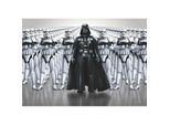 Papier Peint Dark Vador & Stormtroopers Star Wars 254X368 cm