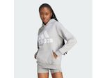 Essentials Logo Boyfriend Fleece Hoodie