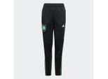 Celtic FC Condivo 22 Training Broek Junioren