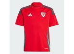 Maillot Domicile Pays de Galles 24 Enfants