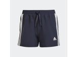 adidas Designed To Move 3-Streifen Shorts