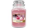 YANKEE CANDLE - Glas Sweet Plum Sake Kerzen 623 g