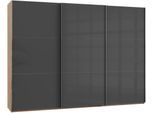 Schwebetürenschrank WIMEX "Level by fresh to go", grau (plankeneichefarben, grauglas), B:300cm H:216cm T:65cm, Schränke, Schwebetürenschrank, mit Glastüren