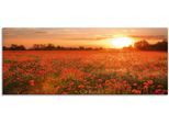 Artland Glasbild »Mohnblumenfeld bei Sonnenuntergang«, Blumen, (1 St.), in verschiedenen Grössen