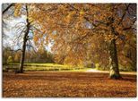 Artland Wandbild »Herbst bei Schlosses Nymphenburg«, Wiesen & Bäume, (1 St.), als Leinwandbild, Poster in verschied. Grössen