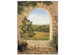 Artland Wandbild »Zitronenbaum vorm Torbogen«, Fensterblick, (1 St.), als Alubild, Outdoorbild, Leinwandbild, Poster, Wandaufkleber