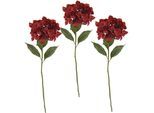 Kunstblume I.GE.A. "Hortensie", rot (dunkelrot), B:16cm H:73cm, Obermaterial: 98% Polyester, 2% Kunststoff, Kunstpflanzen, Kunstblume, 3er Set