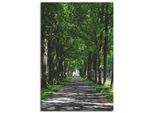 Artland Leinwandbild »Allee in der Karlsaue in Kassel«, Bäume, (1 St.), auf Keilrahmen gespannt