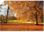 Artland Wandbild »Herbst bei Schlosses Nymphenburg«, Wiesen & Bäume, (1 St.), als Leinwandbild, Poster in verschied. Grössen
