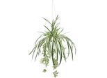 my home Kunstpflanze »Grünlilie«, Mit Hängeampe, künstliche Wasserlilie
