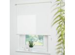 Liedeco Seitenzugrollo »Uni«, Lichtschutz, mit Bohren, freihängend, Welle 36 mm stabiler Kettenzug