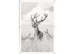 Poster REINDERS "Stolzer Hirsch", schwarz (farbe bild(er): schwarz, weiß), B:80cm H:120cm T:0,1cm, Leinwand, Bilder, Poster, leichtes und wasserfestes Gartenposter für den Ausseneinsatz