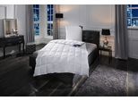 Excellent Gänsedaunenbettdecke »Davos, Bettdecken für Sommer und Winter, Decke«, leicht, Füllung 100% Gänsedaunen, Bezug...