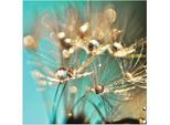 Artland Wandbild »Pusteblume glänzendes Gold«, Blumen, (1 St.), als Alubild, Outdoorbild, Leinwandbild, Poster, Wandaufkleber