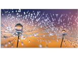 Artland Wandbild »Pusteblumen Tautropfen«, Blumenbilder, (1 St.), als Alubild, Outdoorbild, Leinwandbild, Poster, Wandaufkleber