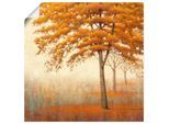 Artland Wandbild »Herbst Baum I«, Bäume, (1 St.), als Leinwandbild, Poster in verschied. Grössen