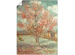 Artland Wandbild »Blühender Pfirsichbaum, 1888«, Wiesen & Bäume, (1 St.), als Alubild, Outdoorbild, Leinwandbild, Poster,...