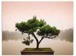 Artland Wandbild »Chinesischer Bonsaibaum«, Bäume, (1 St.), als Alubild, Outdoorbild, Leinwandbild, Poster, Wandaufkleber