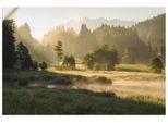 Artland Wandbild »Sommermorgen in den Alpen«, Wiesen & Bäume, (1 St.), als Leinwandbild, Wandaufkleber in verschied. Grössen