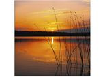 Artland Glasbild »Landschaft mit Sonnenaufgang«, Sonnenaufgang & -untergang, (1 St.), in verschiedenen Grössen