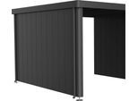 Gerätehaus-Seitenwand BIOHORT, grau (dunkelgrau, metallic), B:315cm H:200cm T:4,3cm, Stahlblech, Gartenhaus-Seitenwände, für Seitendach von Neo 4A-4D