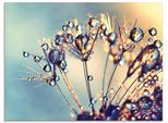 Artland Glasbild »Pusteblume Glitzertau«, Blumen, (1 St.), in verschiedenen Grössen