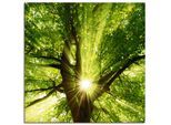 Artland Wandbild »Sonne strahlt explosiv durch den Baum«, Bäume, (1 St.), als Leinwandbild, Poster, Wandaufkleber in...