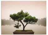 Artland Wandbild »Chinesischer Bonsaibaum«, Bäume, (1 St.), als Alubild, Outdoorbild, Leinwandbild, Poster, Wandaufkleber
