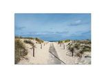 Artland Wandbild »Strandaufgang an Küste der Ostsee«, Strandbilder, (1 St.), als Alubild, Outdoorbild, Leinwandbild, Poster, Wandaufkleber Artland blau