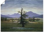 Artland Kunstdruck »Der einsame Baum«, Wiesen & Bäume, (1 St.), als Alubild, Leinwandbild, Wandaufkleber oder Poster in versch. Grössen