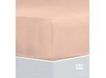Florella Spannbettlaken »Avance Fein Jersey, mit Rundum-Gummi, 100 % Baumwolle«, für Matratzenhöhe bis 25 cm geeignet Florella rosè