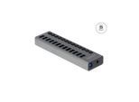 DeLOCK - hub - 13 ports USB-Hubs - USB 3.0 - 13 - Grau