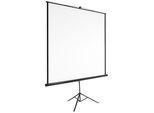 tectake® Beamer-Leinwand, ausziehbar, verschiedene Formate, Doppelschicht-Gewebetuch, faltenfrei