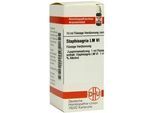 Staphisagria LM VI Dilution 10 ml