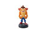 Cable Guy Crash Bandicoot
