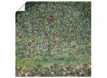 Artland Wandbild »Apfelbaum I. 1912«, Bäume, (1 St.), als Alubild, Outdoorbild, Leinwandbild, Poster, Wandaufkleber