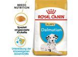 ROYAL CANIN Dalmatian Puppy 12 kg