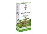 MALVENBLÄTTER Tee 50 g