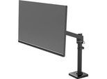 Ergotron NX Monitorarm, Tischhalterung, bis 34", 8 kg, höhenverstell-, neig-, schwenk- und drehbar, schwarz