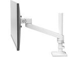 Ergotron NX Monitorarm, Tischhalterung, bis 34", 8 kg, höhenverstell-, neig-, schwenk- und drehbar, weiss