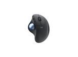 Logitech ERGO M575 for Business - Trackball (Schwarz)