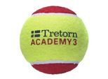 Junioren-Tennisbälle Tretorn Red Felt Academy 3 36B