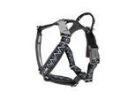 Hurtta Razzle-Dazzle Y-harness 55-65 cm Blackberry